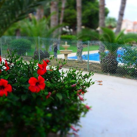 Palmeras, Piscina, Campo De Futbol Y Jardin Privados Mazarron Exterior photo