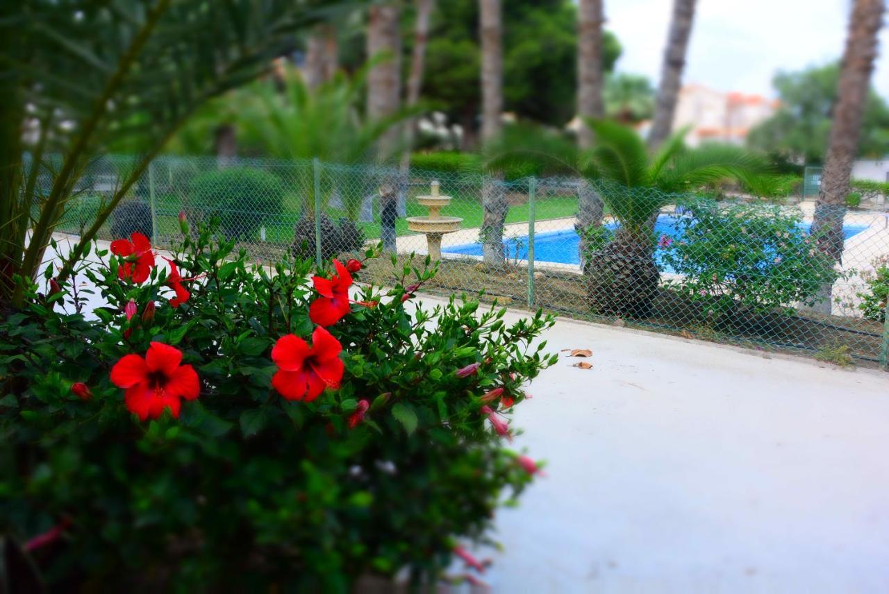 Palmeras, Piscina, Campo De Futbol Y Jardin Privados Mazarron Exterior photo
