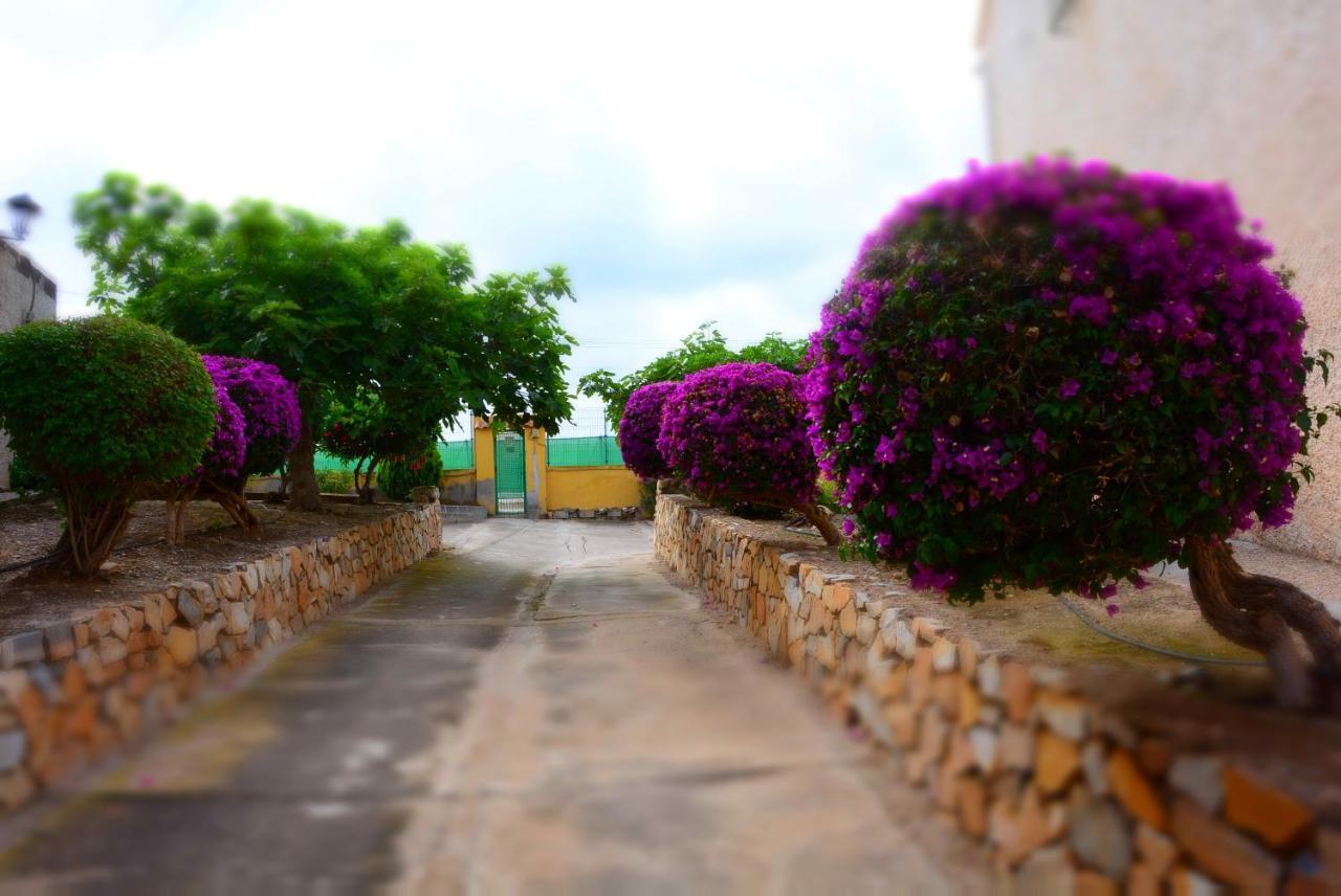 Palmeras, Piscina, Campo De Futbol Y Jardin Privados Mazarron Exterior photo