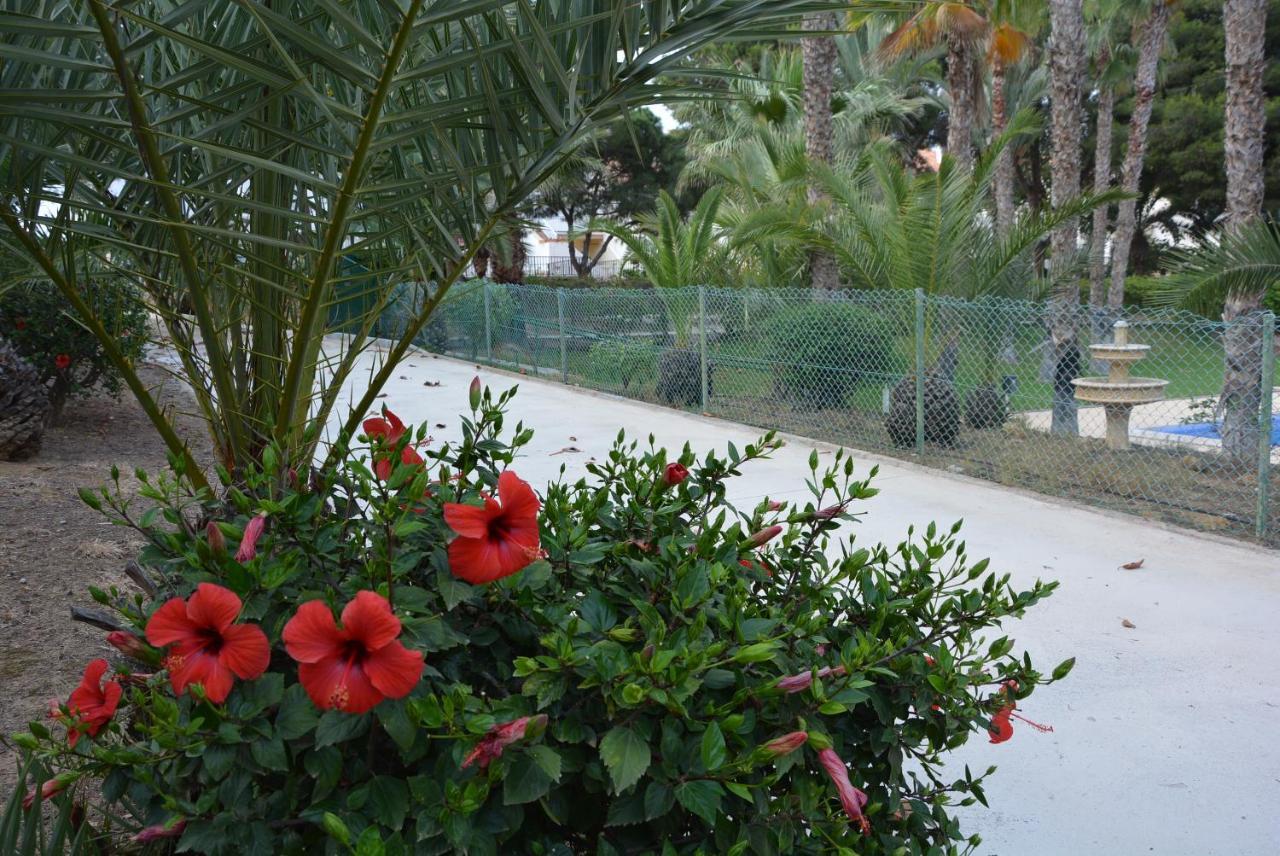 Palmeras, Piscina, Campo De Futbol Y Jardin Privados Mazarron Exterior photo