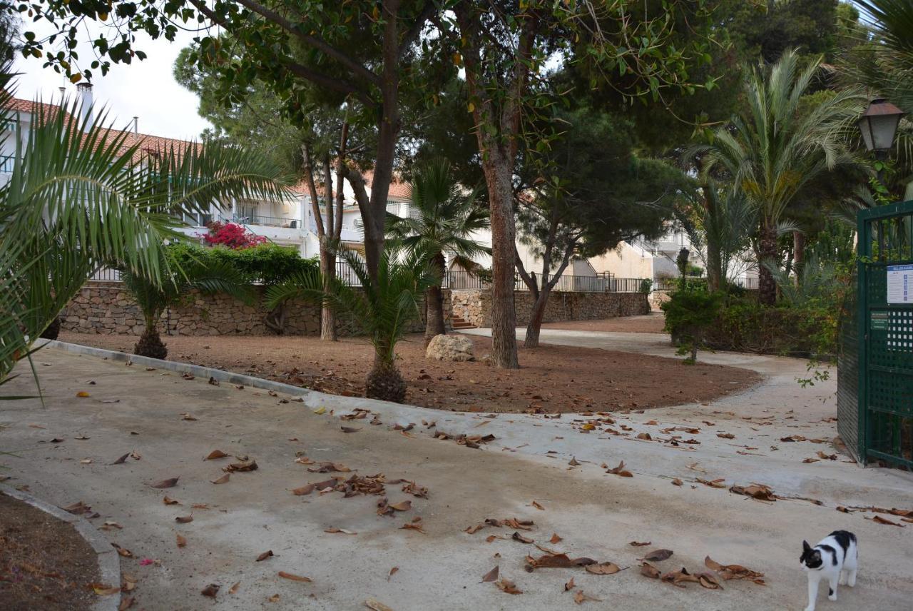 Palmeras, Piscina, Campo De Futbol Y Jardin Privados Mazarron Exterior photo